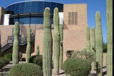 Gilbert Arizona Rentals